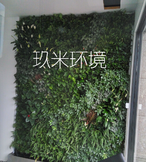 嵊州小匠裝飾植物墻.jpg